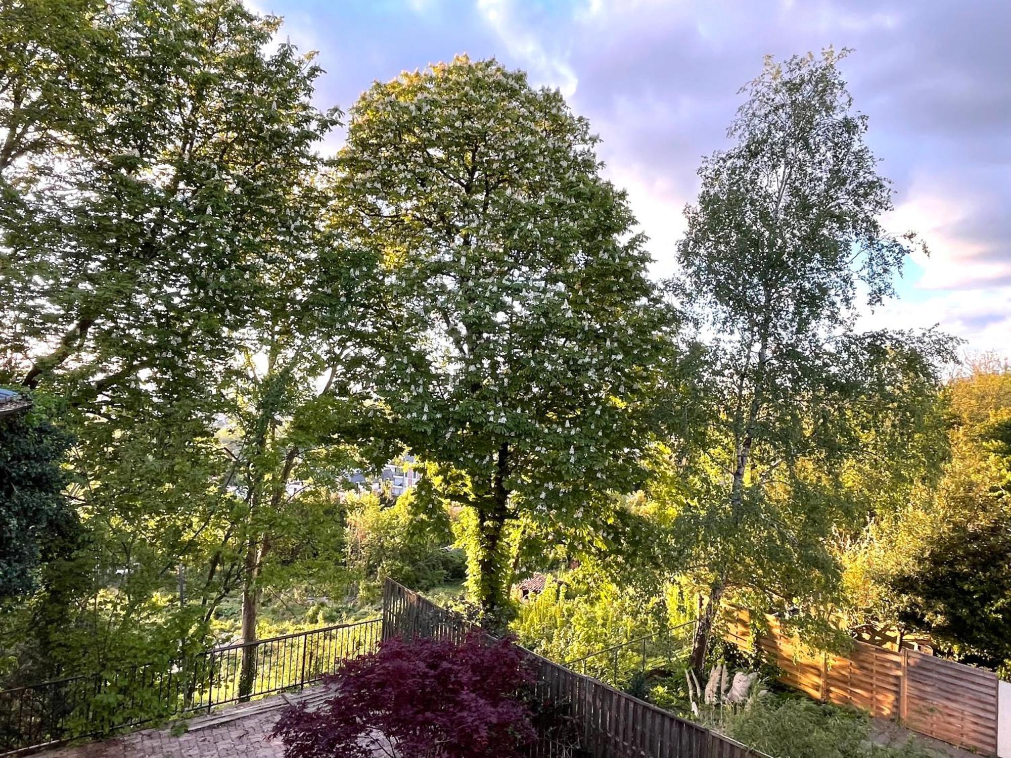 Sara Home Chennevieres-sur-Marne Bagian luar foto